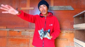 Что делать, если голубь начала забиваться? Мне подсказали методику. Решил с Вами поделится