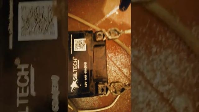 Хонда зумер почему не заводиться смотреть онлайн