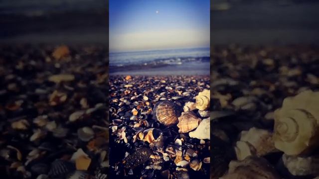 зачем мне солнце в Монако?? смотреть онлайн