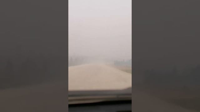 Siberian road, трасса Вилюй, Якутск-Нюрба смотреть онлайн
