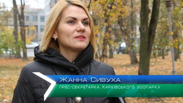 Харківський зоопарк готується до зими смотреть онлайн