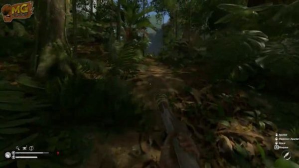 Guia primeros pasos Green Hell #GreenHell