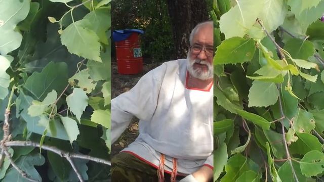 Банный веник двенадцати сил от Нилыча!!! смотреть онлайн