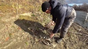 Ловля окуня. Рыбалка в середине октября на спиннинг. Притока Оби