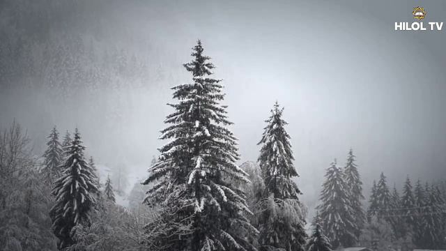 Kelin Salom Haqida | Shayx Muhammad Sodiq Muhammad Yusuf @islomuz