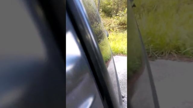 DD m2c flexing part two смотреть онлайн