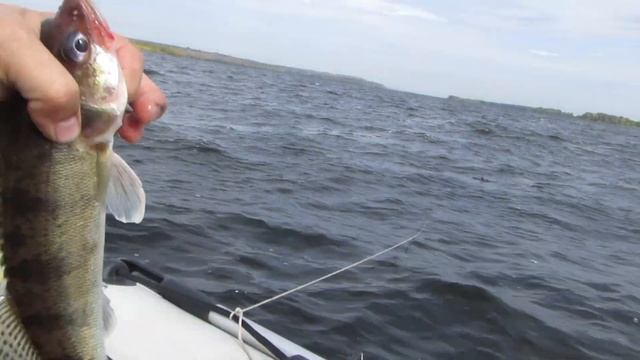 Ловля судака в отвес с лодки. Судак на балансир.Ловля судака. смотреть онлайн