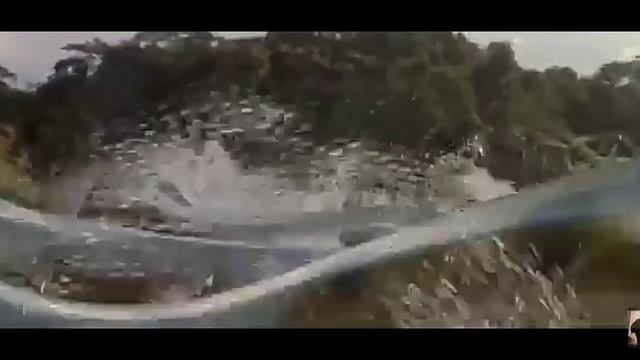 топ момент фільму (Анаконда 2 2004року) смотреть онлайн