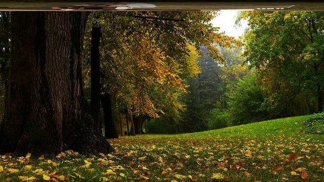 Сапоги Мои Скрип Да Скрип