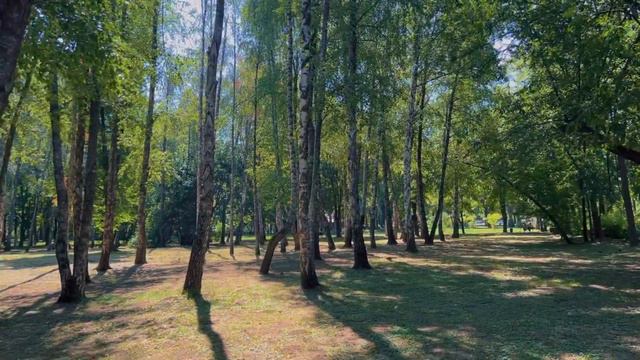 Краснодар.Парк ,,Солнечный остров ‘’#недвижимостькраснодар смотреть онлайн