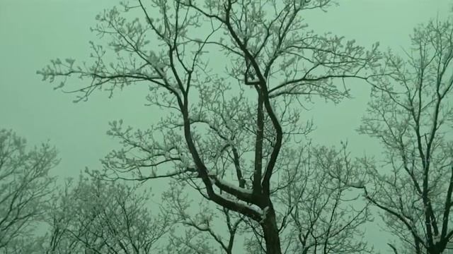 Sample external URL link video смотреть онлайн