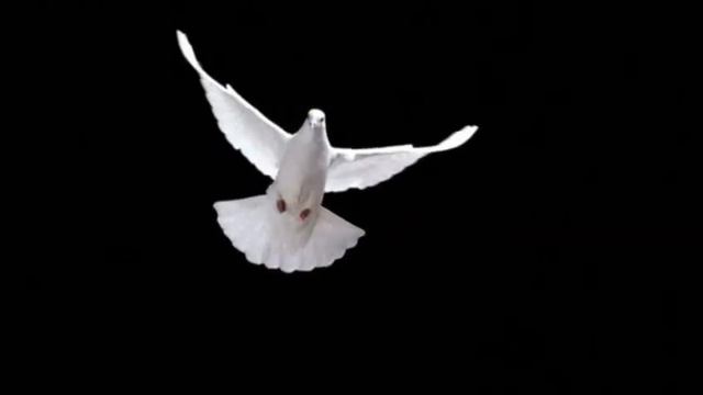 Surb Hogi Hpvir🕊hogevor Erg.