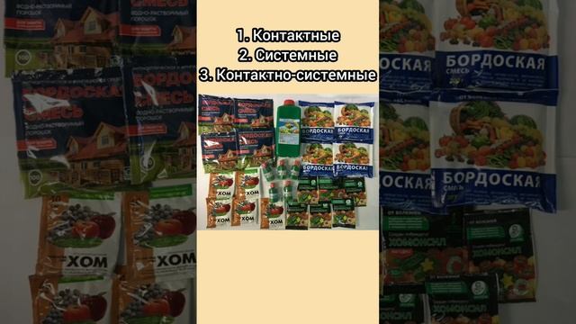 Урок 38. Фунгициды для клубники. Разновидности фунгицидов. #фунгициды #выращиваниеклубники смотреть онлайн