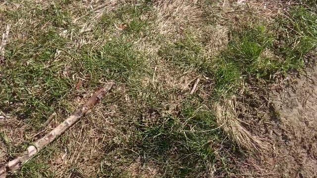 Коп металлолома без металлоискателя 2021. Ищу металл в деревне. Поиск металлолома. Часть 2 смотреть онлайн