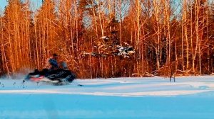 SHARMAX SHP 680 LUXE 2023 отзыв - просто кайф!