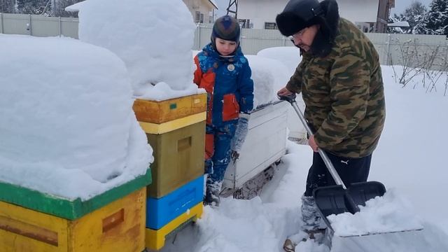 ? Защита пчёл от синиц при зимовке на улице. Очень простой способ для начинающих пчеловодов ? смотреть онлайн