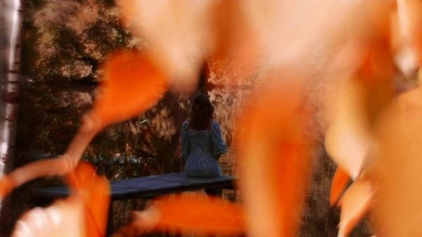 mystical forest | FUJIFILM X-T3 | Cinematic Video