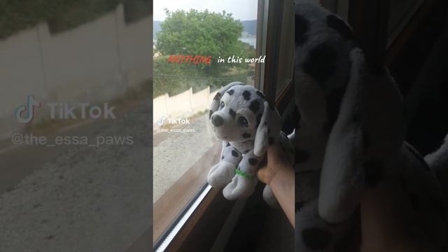 essa tiktok comp 2! смотреть онлайн