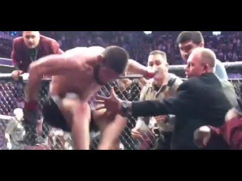 Потасовка Хабиба и Конора, перспективы и последствия