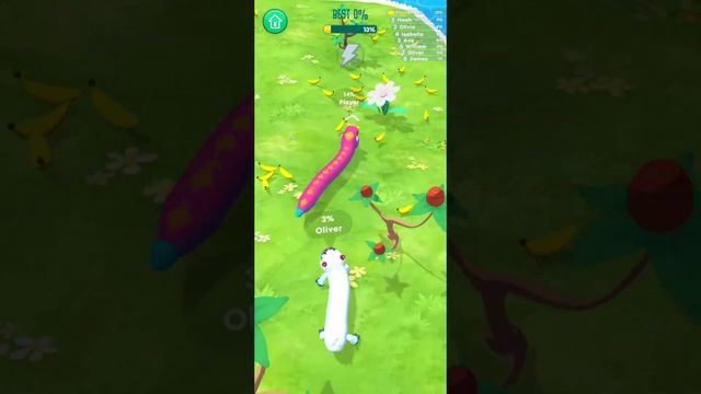 Snake Arena 3D Gameplay Walkthrough 1 смотреть онлайн