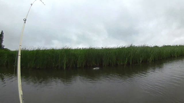 2014-07-07 1匹目 смотреть онлайн