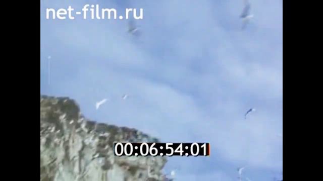 1976г. остров Врангеля. посёлок Ушаковское. смотреть онлайн