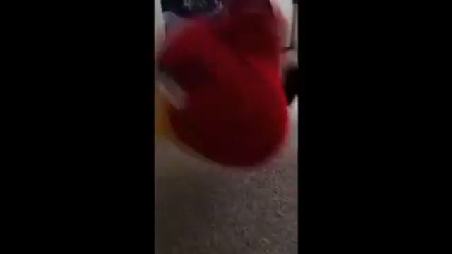 Angry birds revenge of the pigs смотреть онлайн