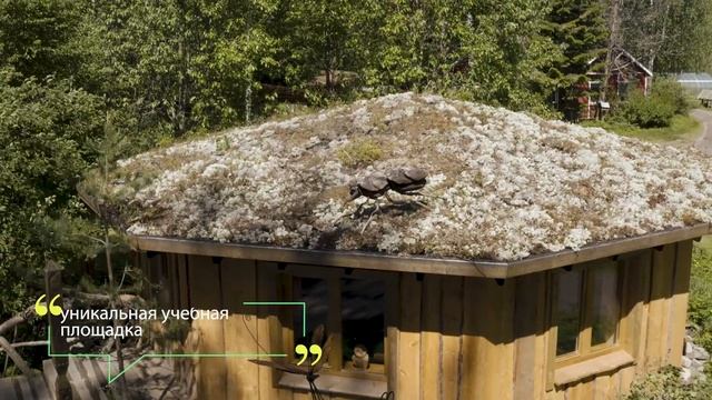 «Кивач» - заповедное сердце Карелии смотреть онлайн