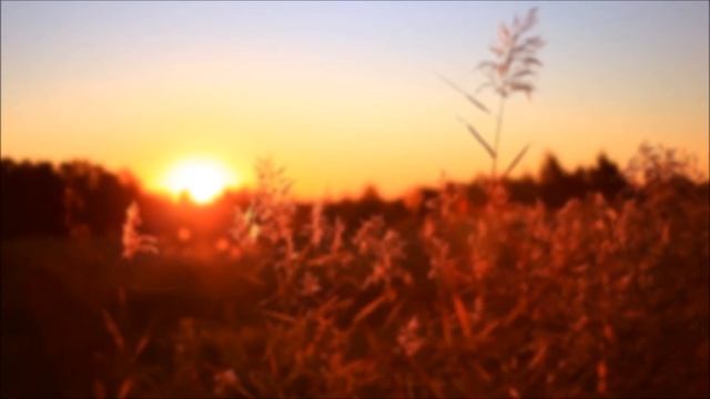 Рэй Брэдбери - Всё лето в один день. смотреть онлайн