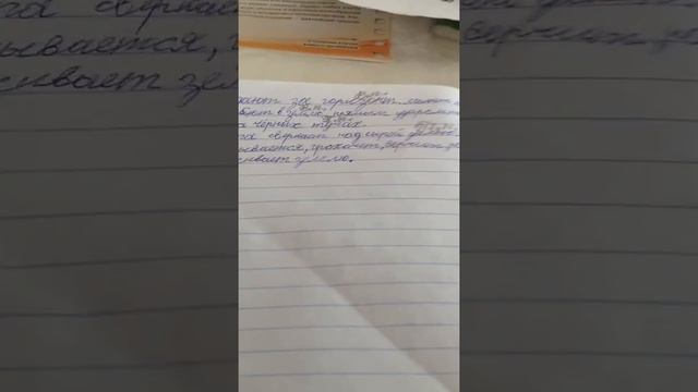 Объяснение орфограмм смотреть онлайн