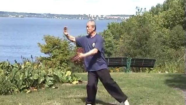 Taijiquan 48 Forms  48式太极拳