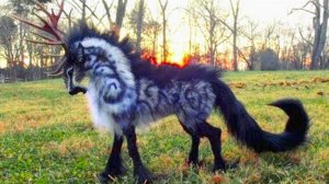 Самые Редкие Животные, Которые Рождаются Раз в Тысячу Лет