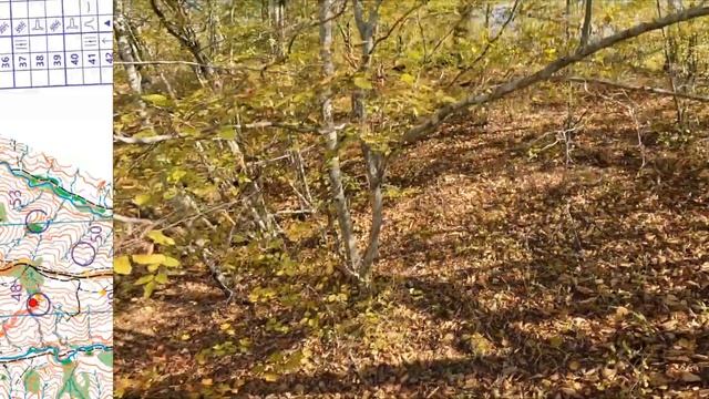 HEADCAM Oreienteering Геленджик Золотая Осень 2023 ВЫБОР смотреть онлайн