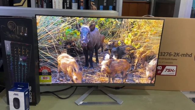 Monitor Viewsonice VX3276-2K MHD https://t.me/Mplus016 смотреть онлайн