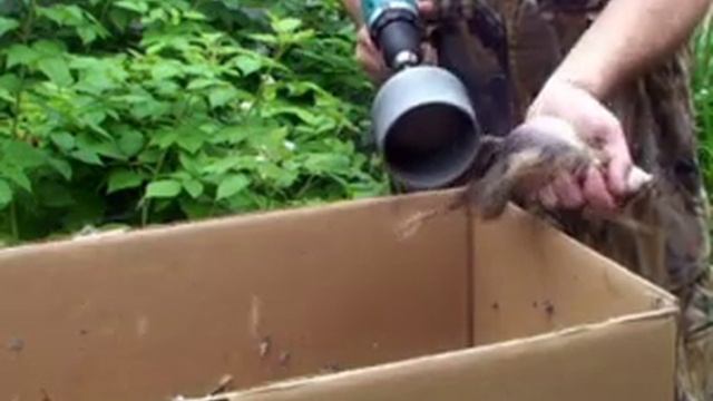 ощипыватель перепела и голубя DuckMaster 8 800-555-900-2.avi смотреть онлайн