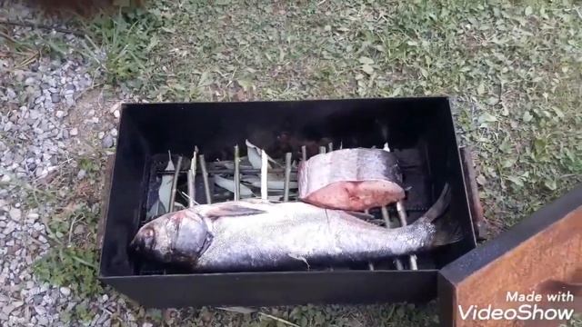 Шарабан из толстолоба и куска сома ко Дню Стротеля 2019