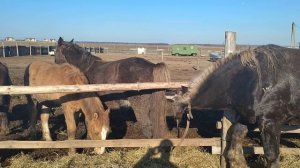 Советский Тяжеловоз в деле