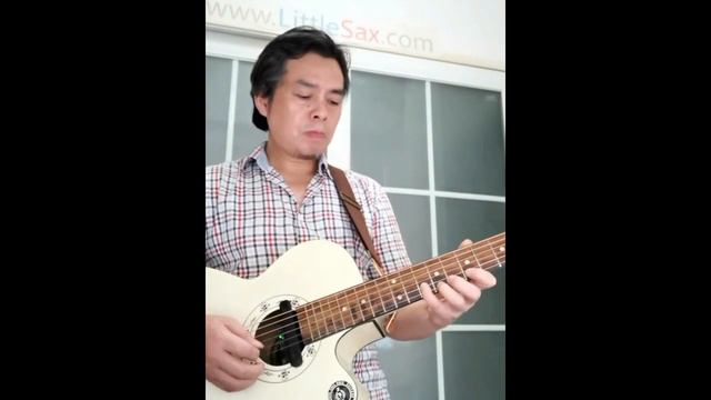 《斯卡布罗集市》 Scarborough Fair 哨笛+吉他/Whistle & Guitar/哨笛C调/HiXing Irish Whistle/Tin Whistle/penny Whistl