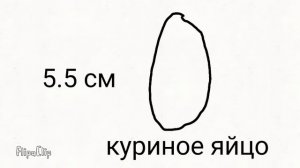 От самого маленького до самого большого