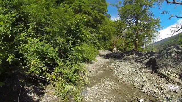 Кубок Конфедераций Казань - Сочи - Казань. смотреть онлайн