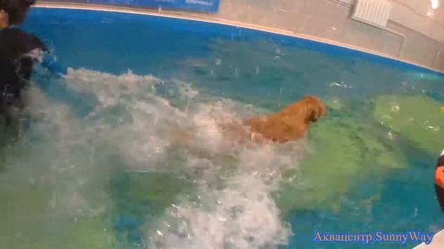 Один день в Аквацентре SunnyWay смотреть онлайн