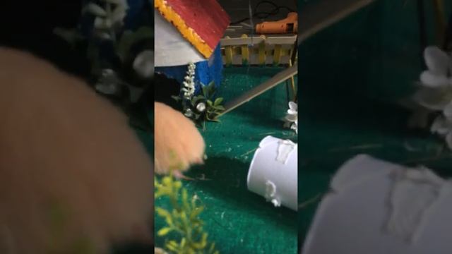How to build a hamster playground смотреть онлайн