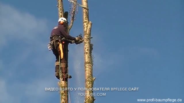 Как удалить макушку дерева. Работает Немецкий арборист смотреть онлайн