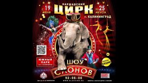 Калининград. 10 августа 2019. Цирк. Шоу Слонов