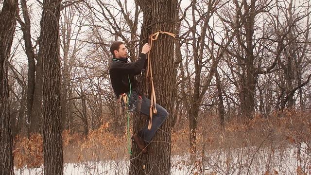 How to Climb a Tree without Climbing Sticks смотреть онлайн