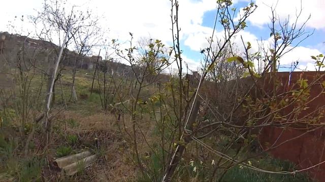 Купили дачу в Крыму. Мечта сбылась! Обзор участка смотреть онлайн