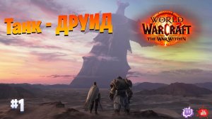 Друид - танк ||World of Warcraft The War Within|| Сюжетка нового дополнения - прокачка || #1
