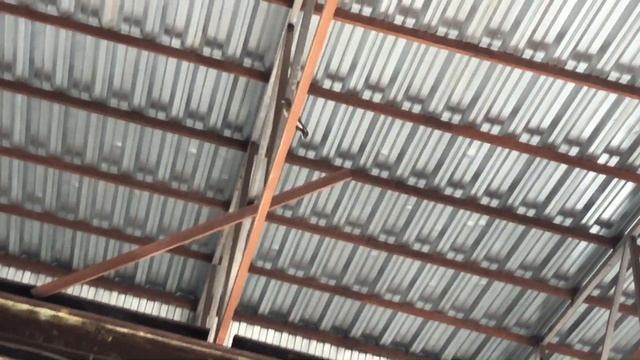 авторазбор/дорогая доставка/продажа запчастей/маленький с нами/спасения дрозда/Африка слушает музык смотреть онлайн