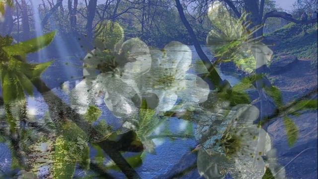 СЛАЙД-ШОУ. КРАСИВЫЕ ФОТО И КАРТИНКИ. смотреть онлайн