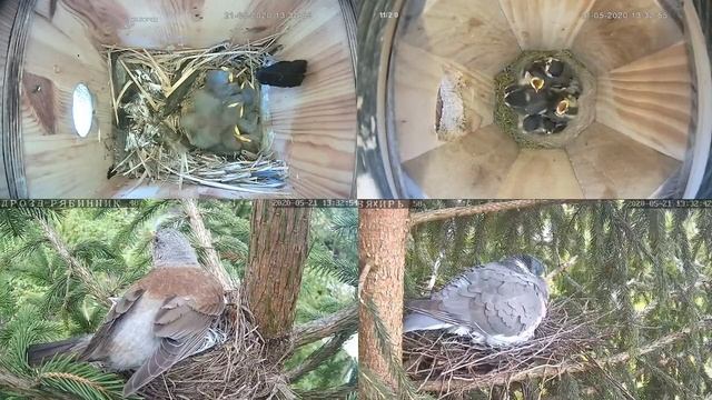 Онлайн-трансляция - 2020. 21.05.2020 г. . город Калуга. смотреть онлайн